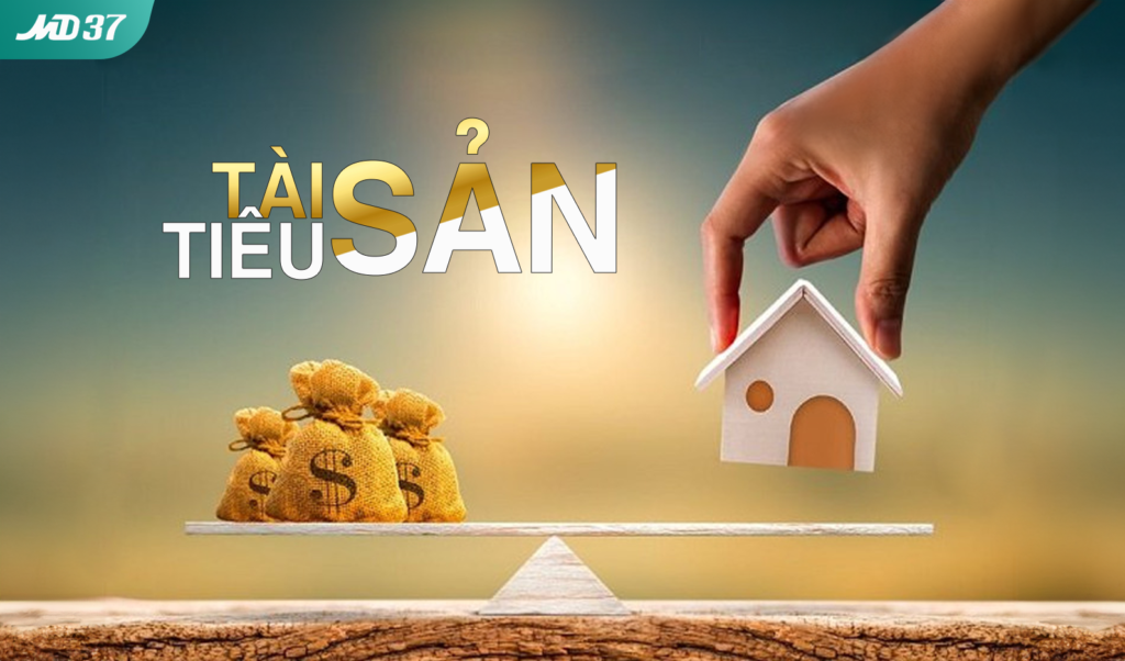 Tài sản tiêu sản