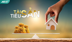 Tài sản tiêu sản